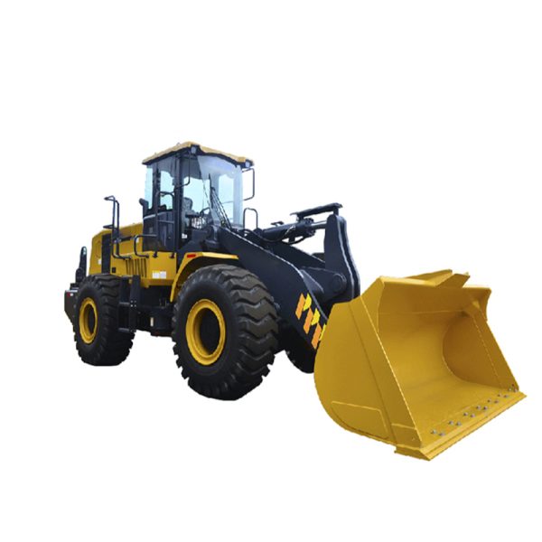 LW600FN Wheel Loader Model